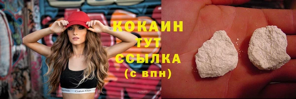 соль ск Алзамай