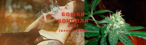 гидра Болохово