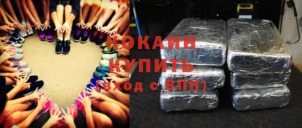 соль ск Алзамай