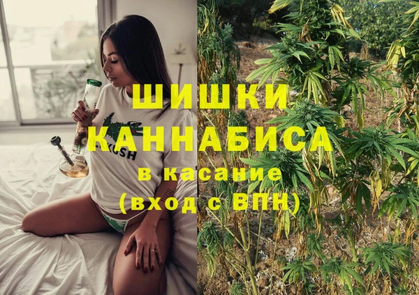 соль ск Алзамай