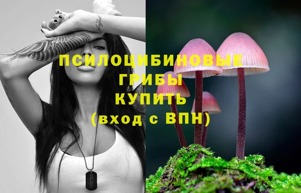 не бодяженный Алексин